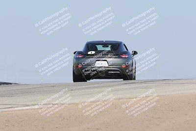 media/Nov-01-2025-PCA Central Coast (Sat) [[5e27ded23e]]/White Group/Grapevine/